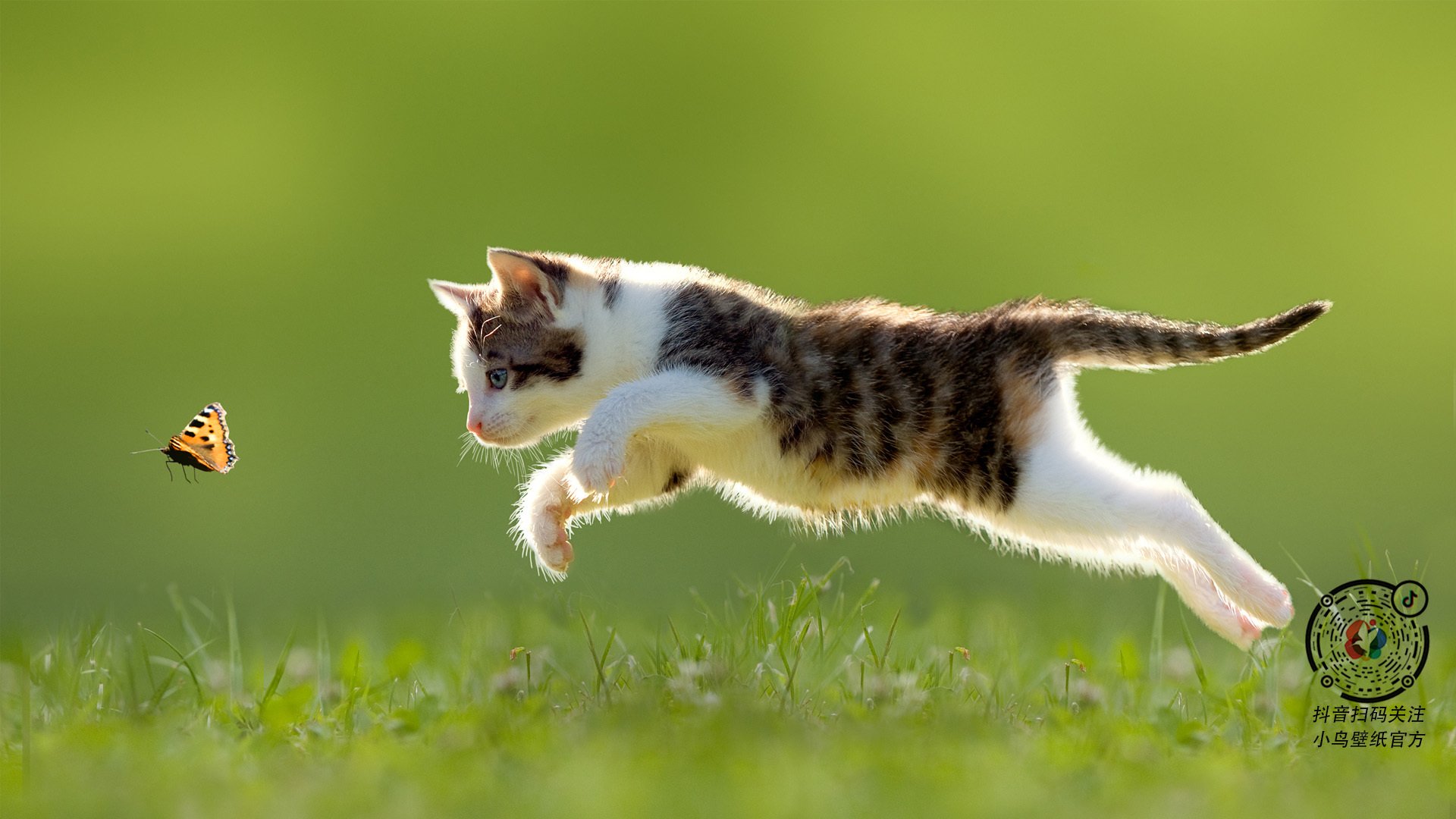 双加时鏖战,詹姆斯关键球定乾坤!全球直播的篮球盛宴,胜负之外的致敬