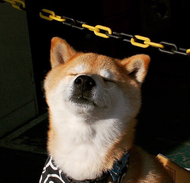 开云体育APP下载-迈阿密巷战，当F1轮胎碾过加纳战鼓的余音