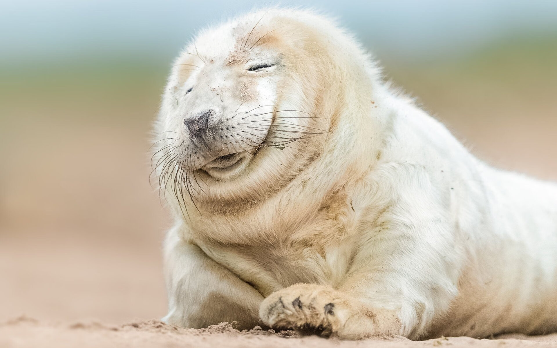 开云体育app-跨次元的篮球对话，杜兰特式杀伤与雄鹿逆袭背后的胜利法则