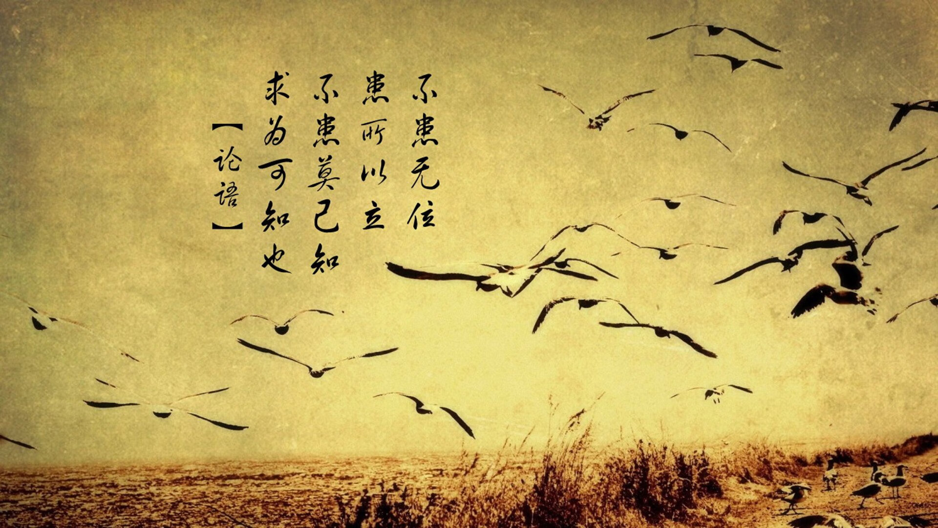 格列兹曼划破天际的流星，一记倒钩，一场属于马竞的回归宣言