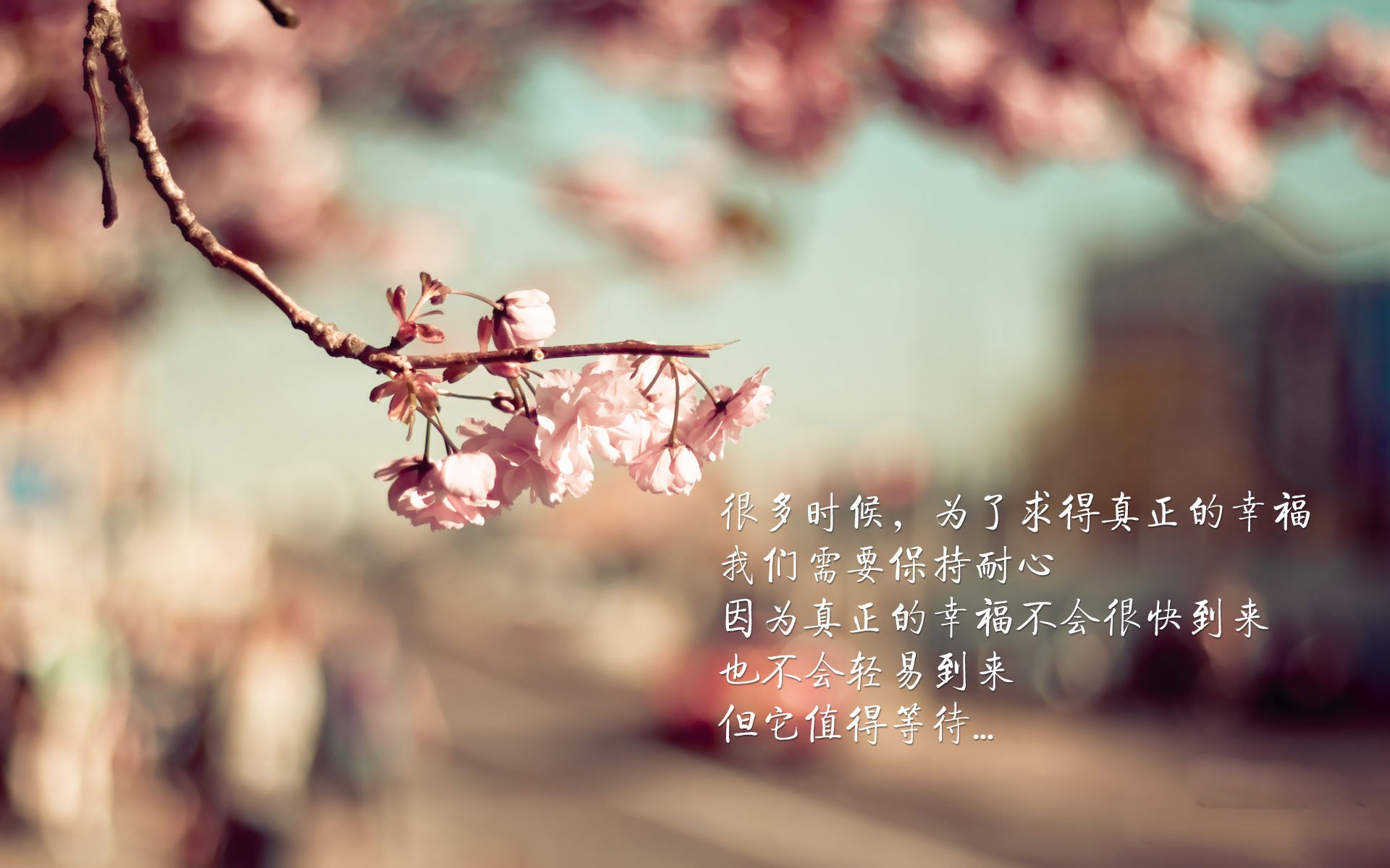 上海滩绝境逆袭,唯一杀神布克踏平灰熊