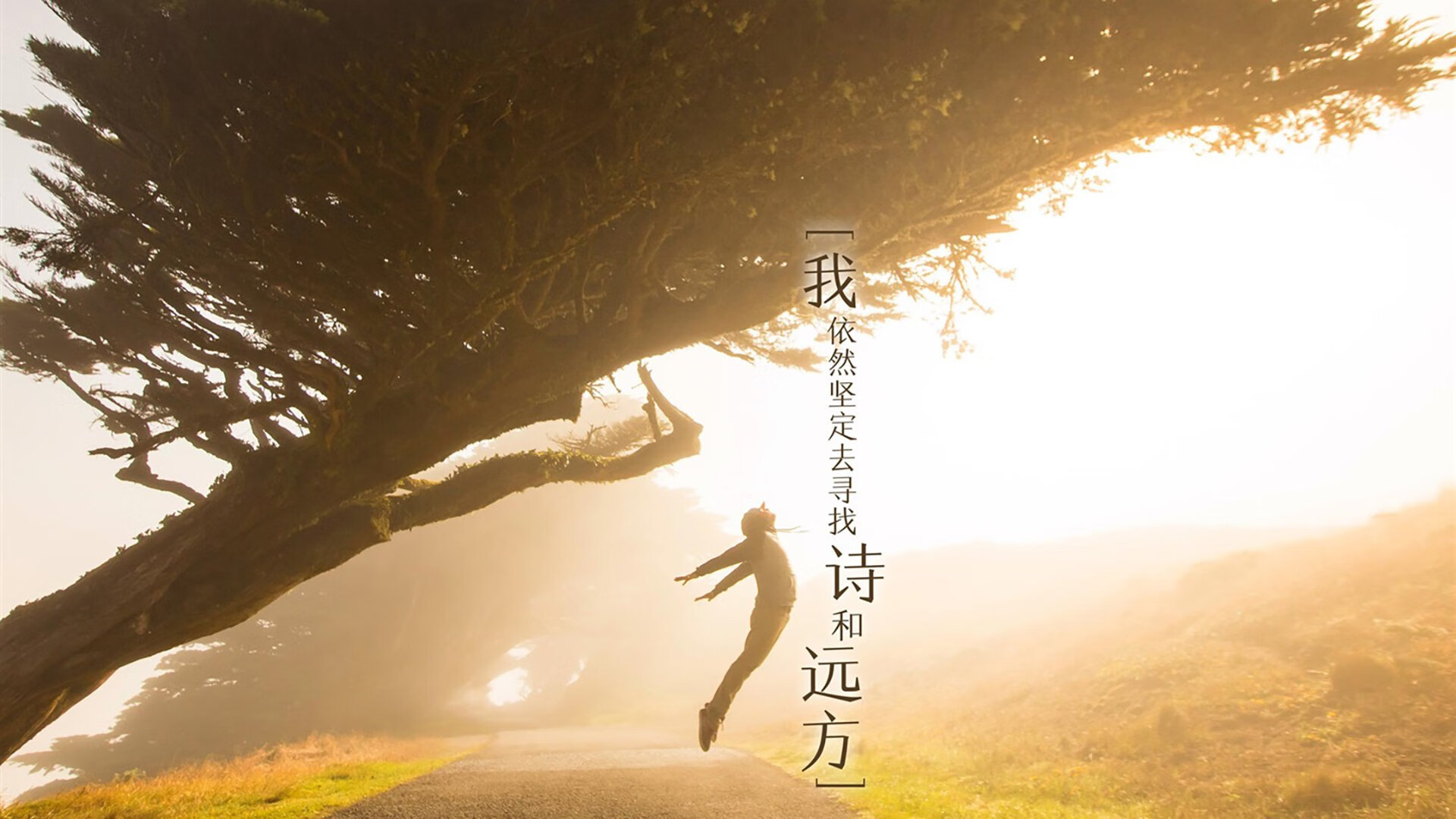 军团式调色师，当基米希的轨迹为新罗马重绘瑞典版图