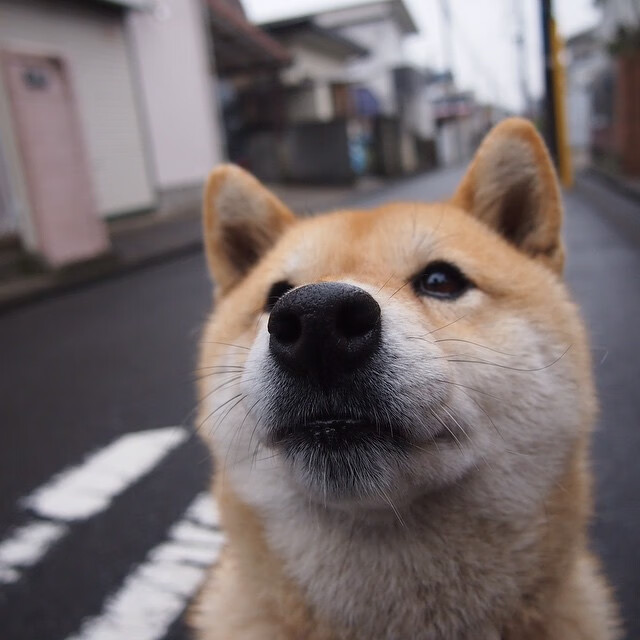 格纳布里独造三球,利物浦3-1力克哥本哈根晋级