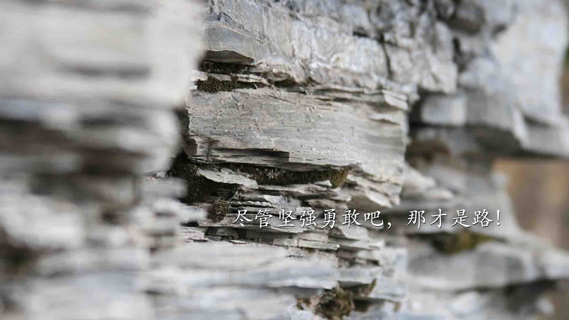 非常有趣,因为它制造了一个戏剧性的不可能场景。凯恩(英格兰队长)为墨西哥队效力并绝杀巴西—这本身就是最大的唯一性和话题点。我将围绕这个核心矛盾展开,构建一个充满转折、悬念与合理性的故事
