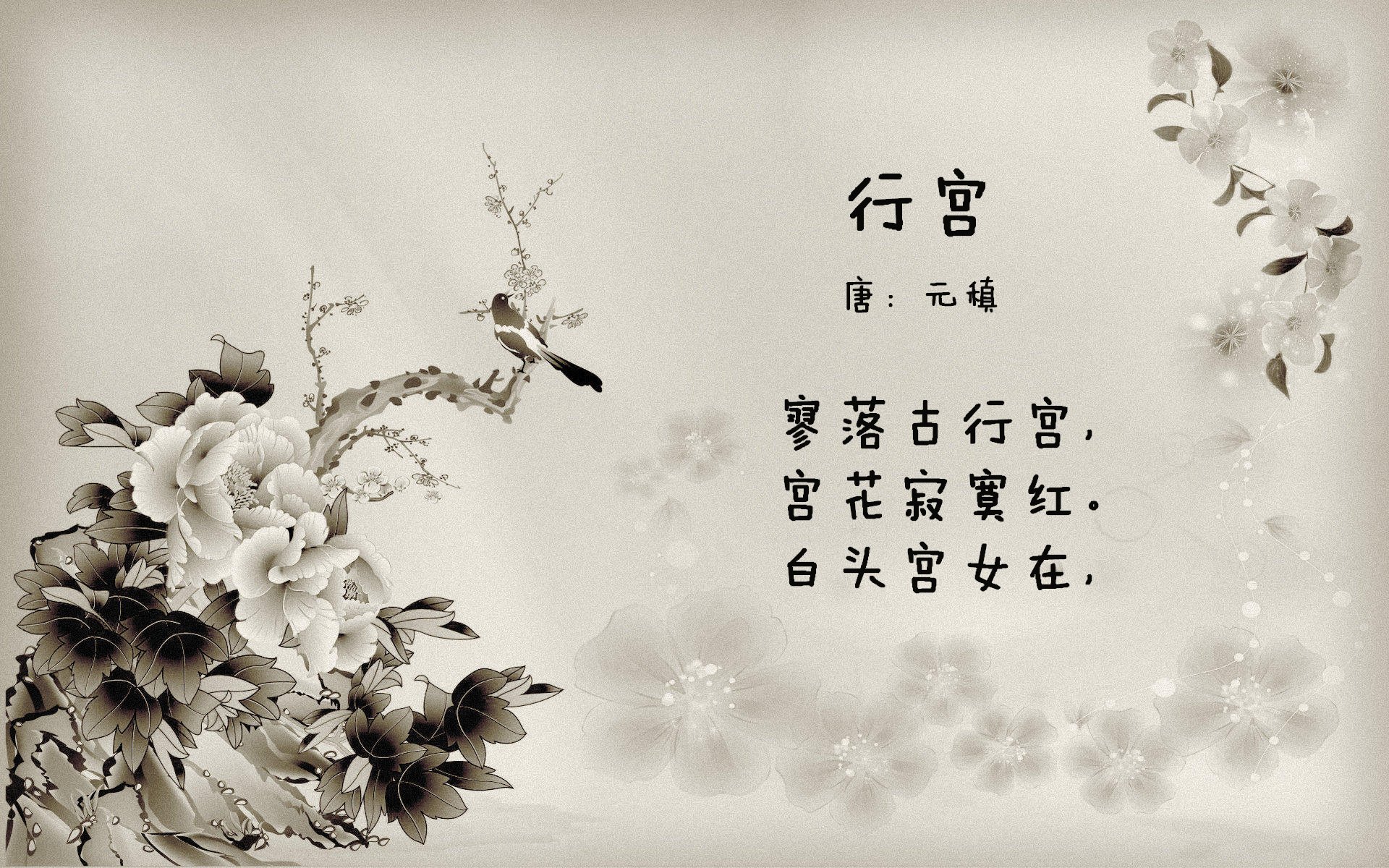 悬崖边的探戈，2026世界杯F组，阿根廷绝境逢生，罗德里戈是那道划破夜空的闪电