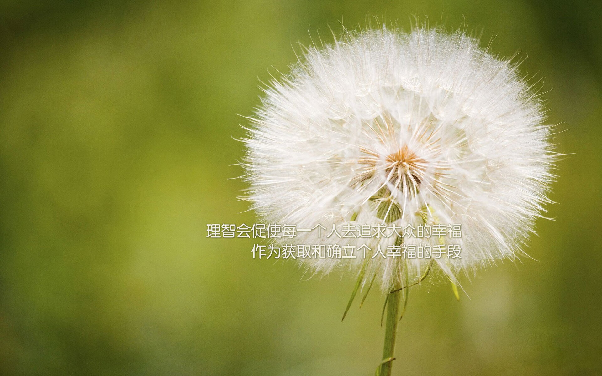 冰与火之歌，唯一的神话，2026世界杯G组焦点战，挪威绝杀瑞典，梅西以对手之名封神