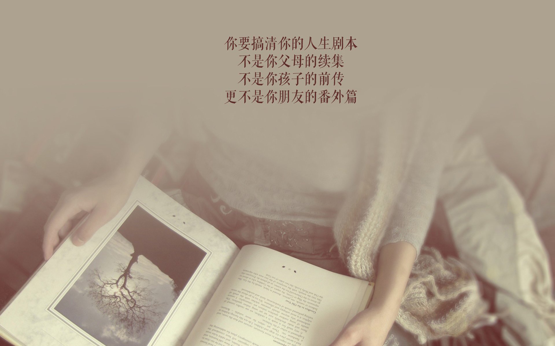 颠覆与涅槃,当足球新大陆推翻旧王朝—2026世界杯F组焦点战,费利克斯·卡瓦略用一场神之战为美国足球加冕