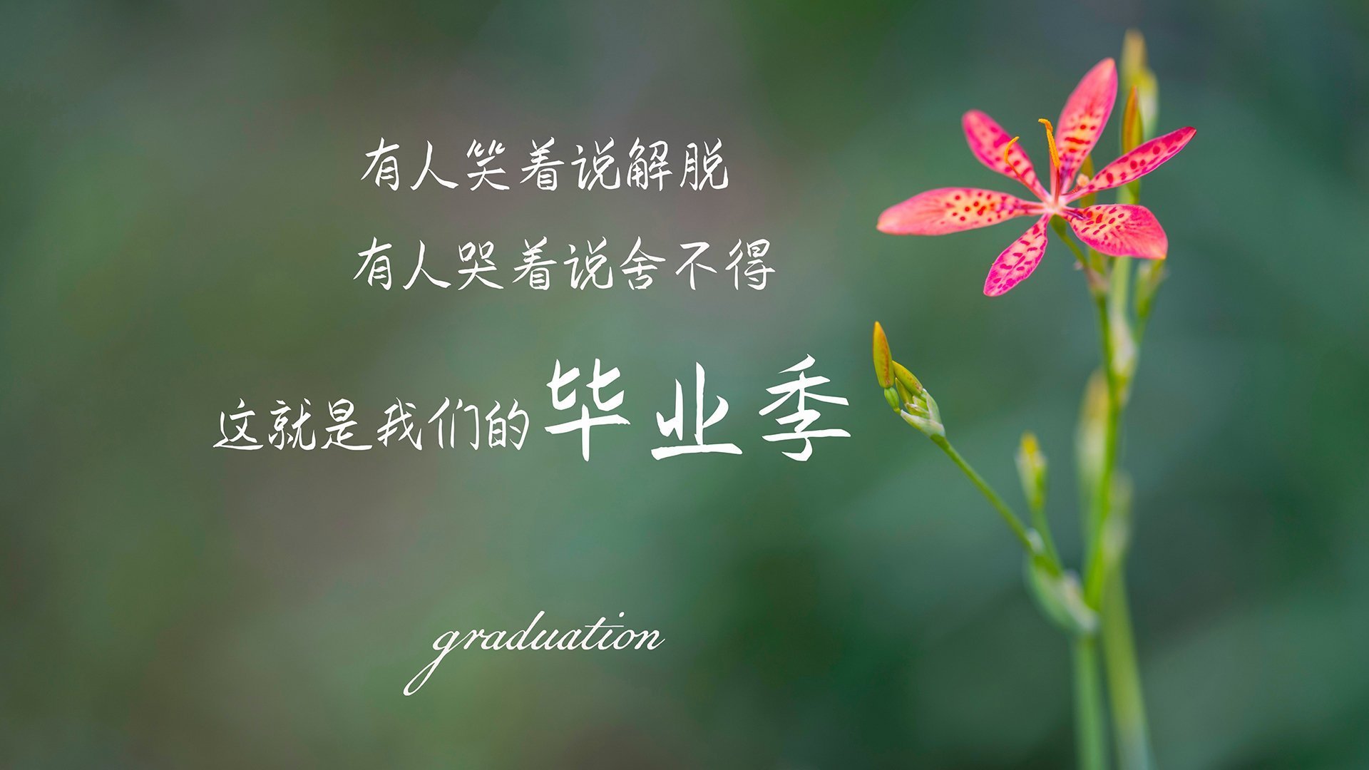 开云体育在线-唯一性的剧本，北欧风暴vs太极虎，阿诺德一剑封喉定江山