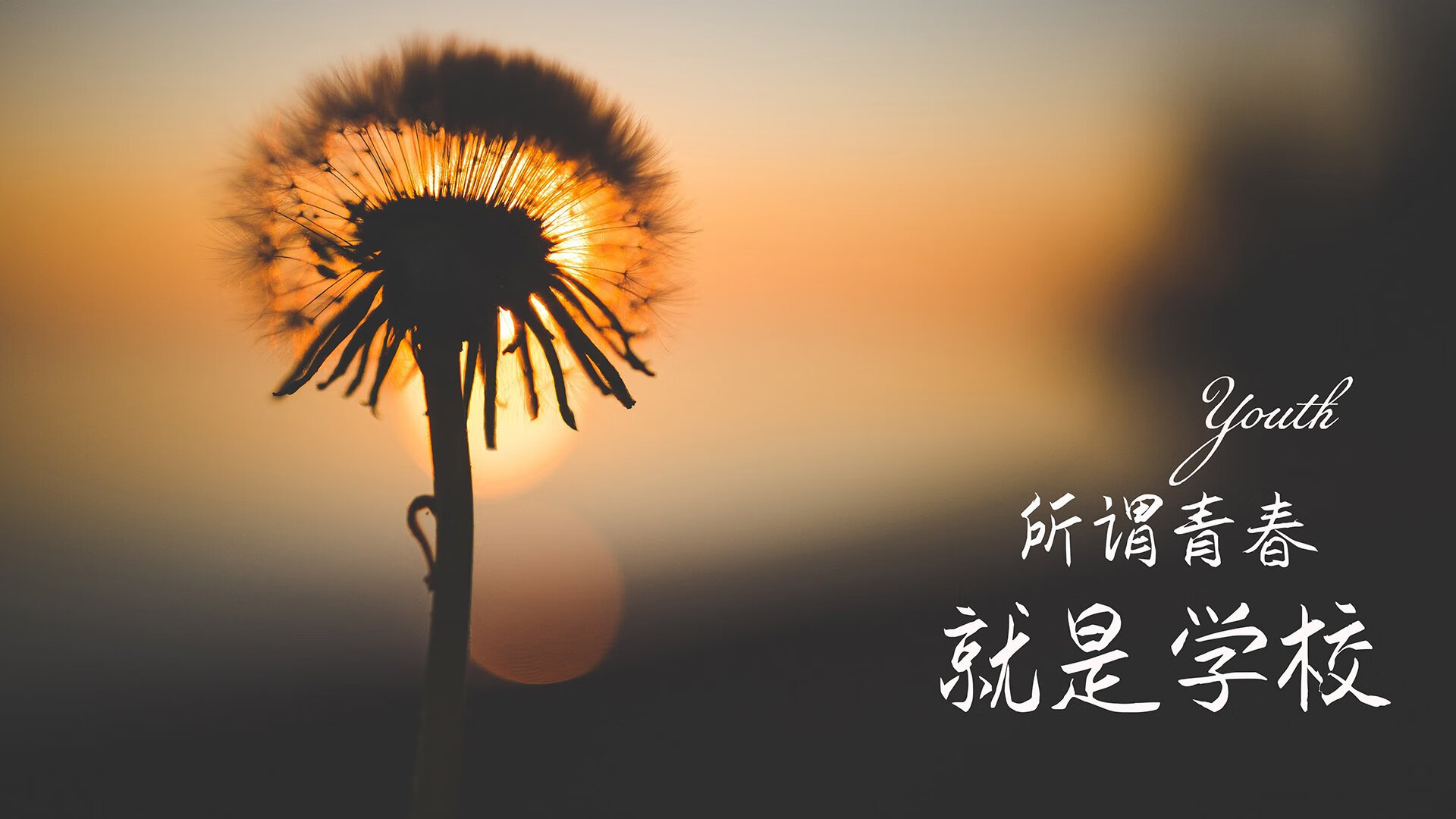 橙色风暴吞没黑星,2026世界杯决赛,哈兰德独造三球导演史上最癫狂逆转